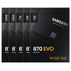 삼성전자 삼성 870 EVO 250GB SATA(정품)
